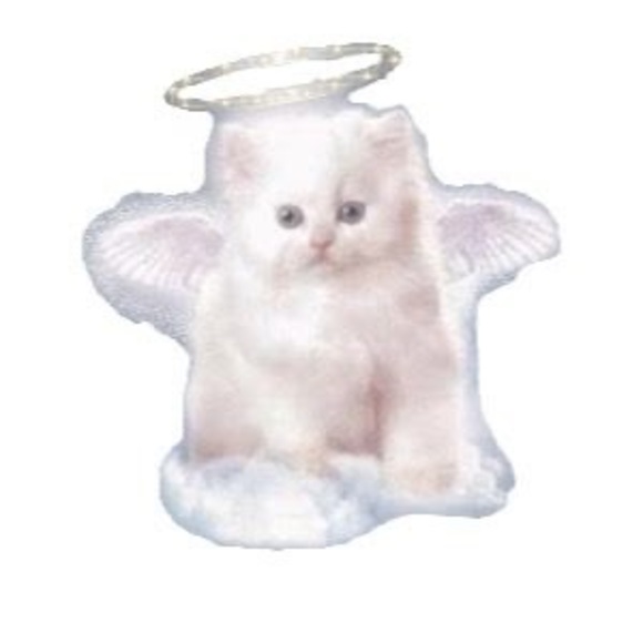 Meet your Posher, Jazzmin - Picture 1 of 1